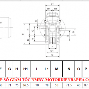 Hộp số giảm tốc NMRV size 40