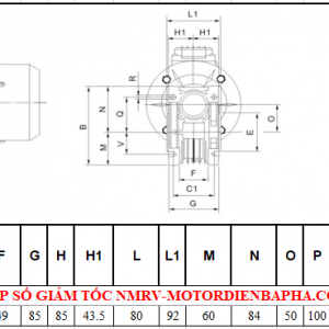 Thông số kỷ thuật hộp số giảm tốc NMRV size 50