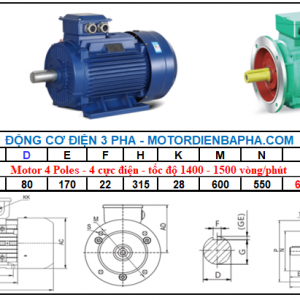 Motor điện 3 pha 110KW-150HP 4 Poles