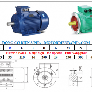 Motor điện 3 pha 22KW-30HP 6 Poles