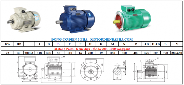 Motor điện 3 pha 22KW-30HP 6 Poles