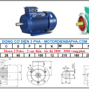 Motor điện 3 pha 3KW - 4HP 2 Poles