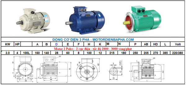 Motor điện 3 pha 3KW - 4HP 2 Poles