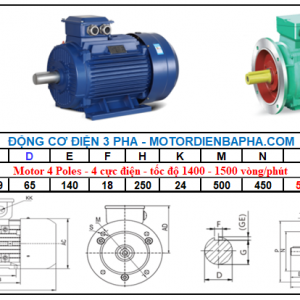 Motor điện 3 pha 55KW-75HP 4 Poles