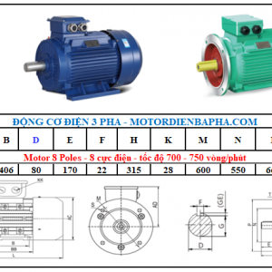 Motor điện 3 pha 55KW-75HP 8 Poles