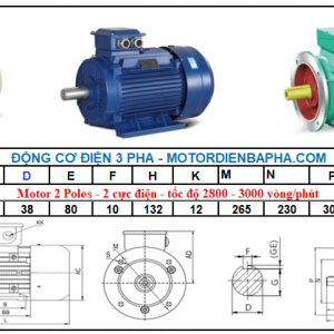 Motor điện 3 pha 7.5KW - 10HP 2 Poles