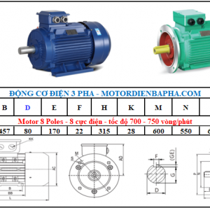 Motor điện 3 pha 75KW-100HP 8 Poles