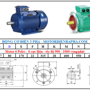 Motor điện 3 pha 90KW-125HP 6 Poles