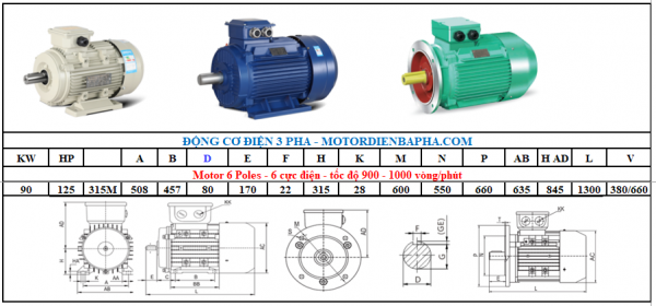 Motor điện 3 pha 90KW-125HP 6 Poles