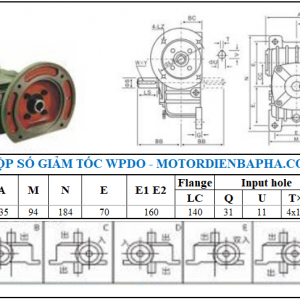 Motor điện 3 pha WPDO size 40
