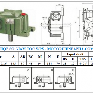 Motor điện 3 pha WPX size 40