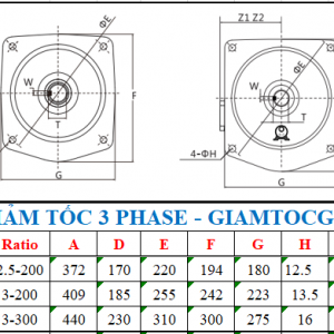 Giảm tốc 3 pha trục thẳng mặt bích 0.8KW - 1HP