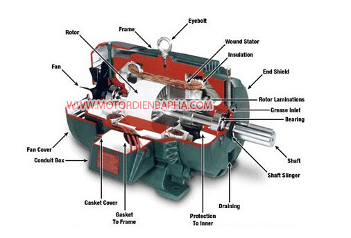 Nguyên lý hoạt động motor điện 1 pha