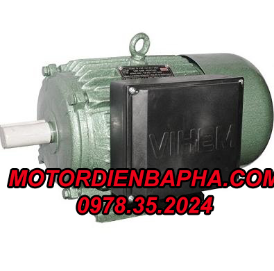 Motor Điện 3 Pha Việt Hung