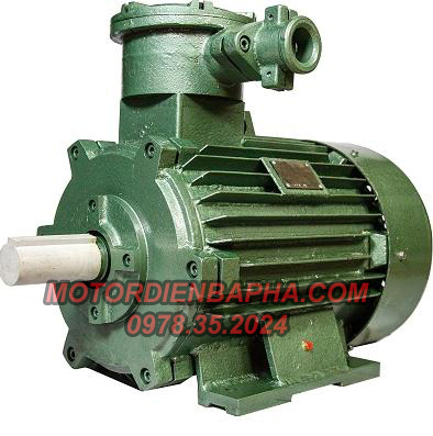 Motor Điện 3 Pha Việt Hung