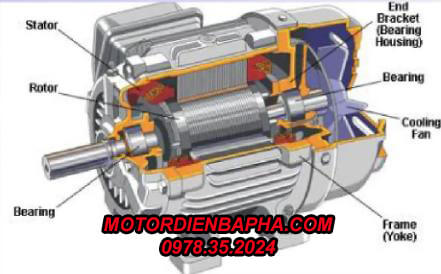 Motor Điện 3 Pha