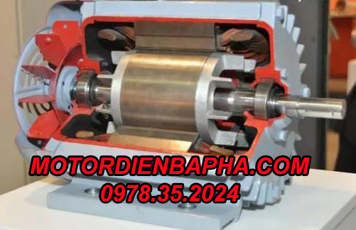 motor điện 3 pha