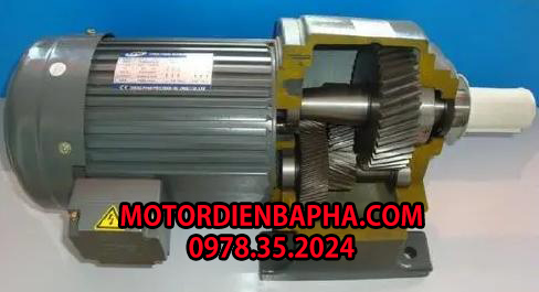 Cấu tạo motor giảm tốc