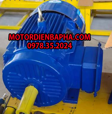 motor điện 3 pha