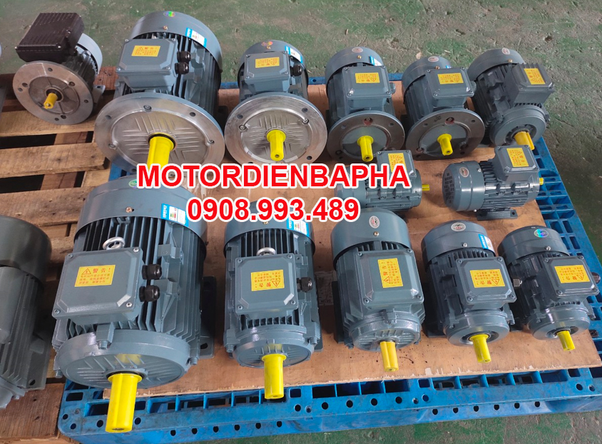 Motor điện 3 phase 220V