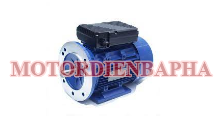 Motor điện 1 pha