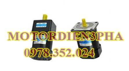 Motor giảm tốc 60w