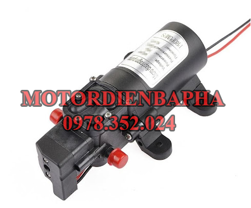 Mô tơ bơm nước 12v