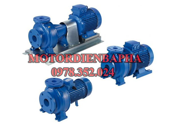 Motor bơm nước 3 phase