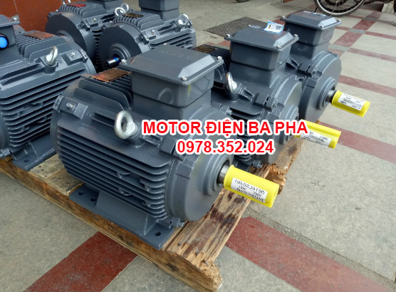 Motor điện 3 pha 220V