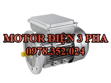 Motor điện 1 pha giá rẻ