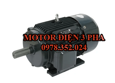 Motor điện 3 pha giá rẻ