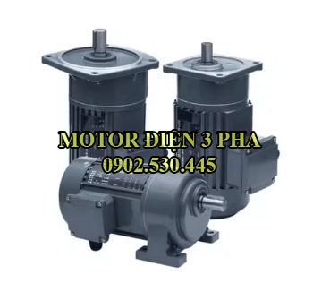 Motor giảm tốc 3 phase