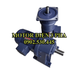 Motor giảm tốc 3 phase