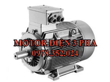 Motor phòng nổ giá rẻ