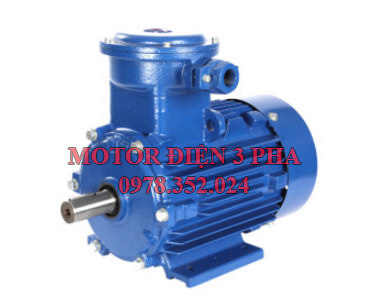 Motor điện phòng nổ b3