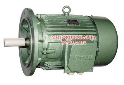 Motor điện 3 pha Việt Hung 