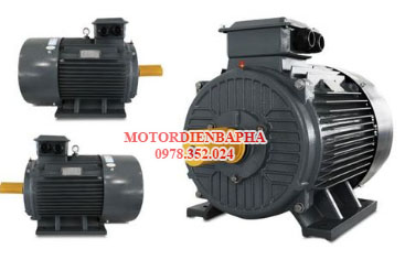 Motor đồng bộ 3 pha chân đế