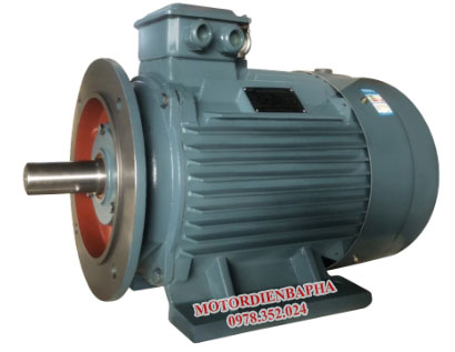 Motor đồng bộ 3 pha mặt bích