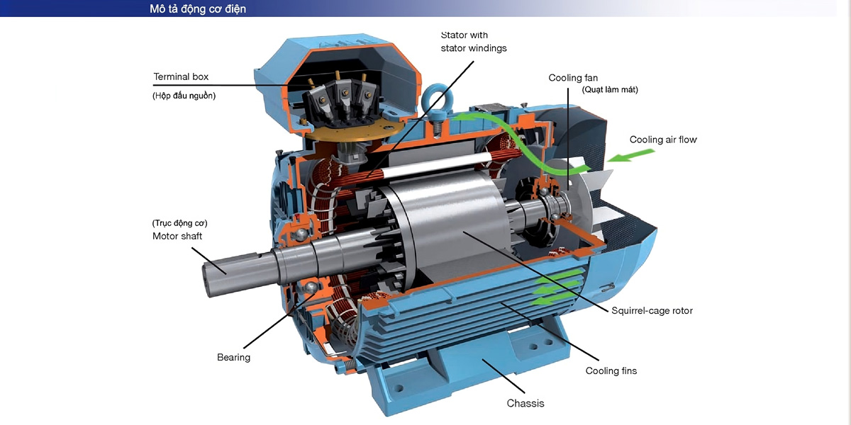 Cấu tạo motor 3 pha