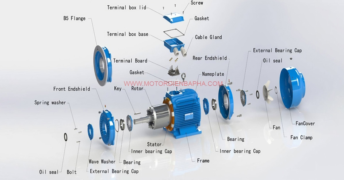 Cấu tạo motor 3 pha