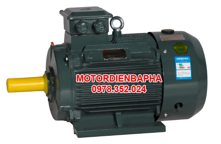 Bảo dưỡng motor điện 3 pha