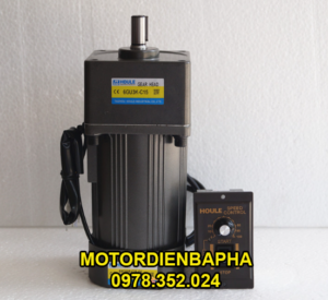 Motor giảm tốc mini 220V là gì