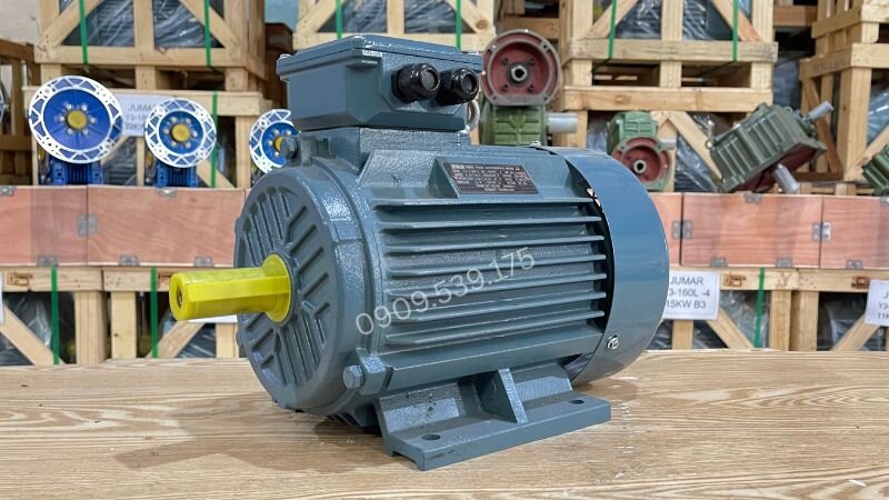 Motor 3 pha không chổi than công suất lớn.
