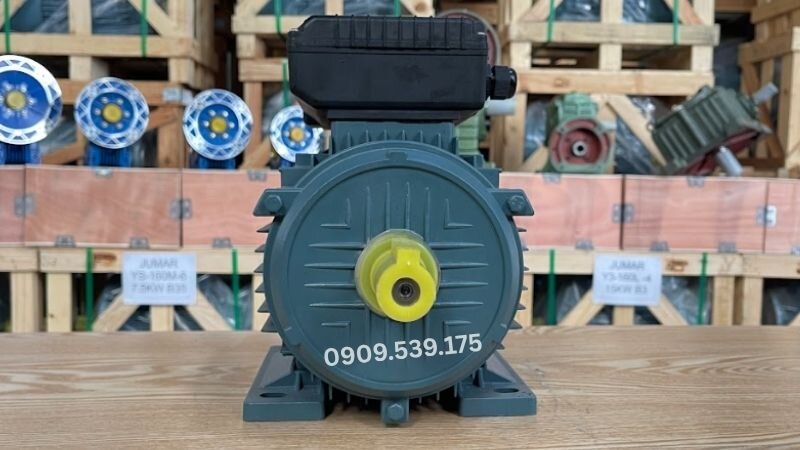 Hình ảnh động cơ điện 1 chiều tại Thành Thái Motor.