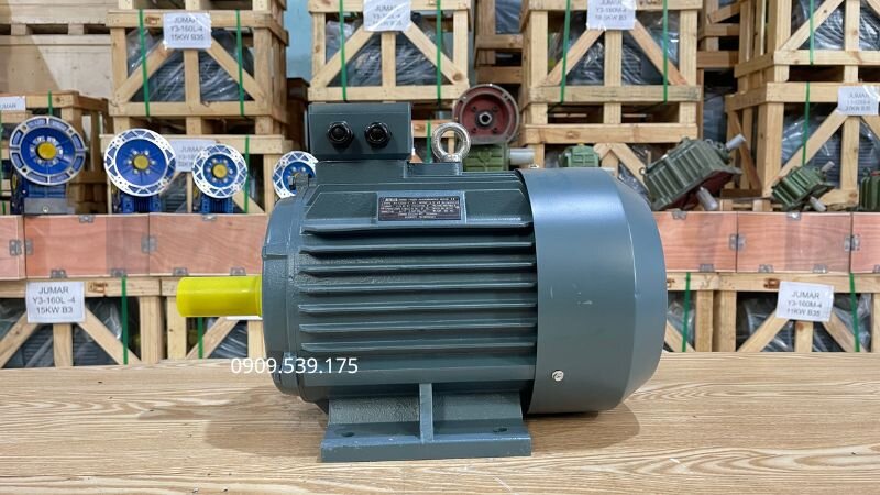 Hình ảnh động cơ 3 pha tại Thành Thái Motor.