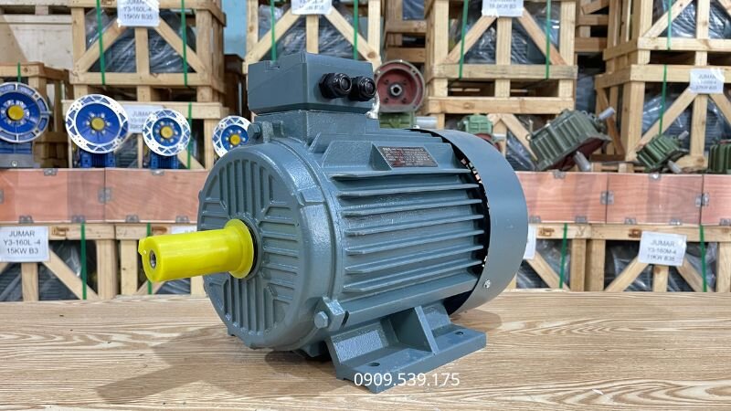 Nguyên nhân từ bên trong của động cơ